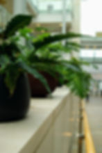 Potted green plants line a modern indoor corridor with beige walls and glass railings, creating a fresh, calm ambiance.