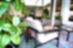 A close-up of vibrant green indoor plant leaves in the foreground with modern office furniture and plants in the background a