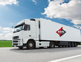 Camion y logo_edited.jpg