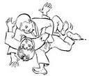 ho gesa gatame.jpg