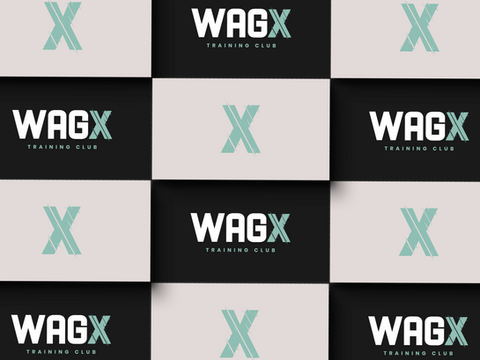 We Are Group X