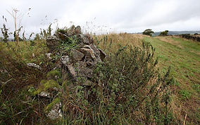 Developer's plan to build 46 homes near Roman fort fails