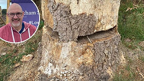 Bench seats 'ripped out' at beauty spot as vandals strike again