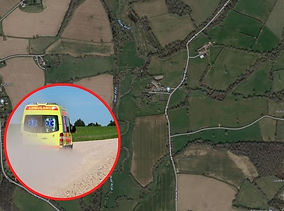 Woman trampled to death by cattle in Billinghurst