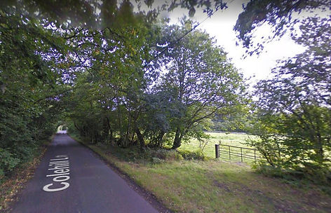 ‘Distressing incident’: Deer decapitated and left on manure pile