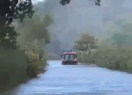 Lambs die in River Derwent flood waters in Cumbria