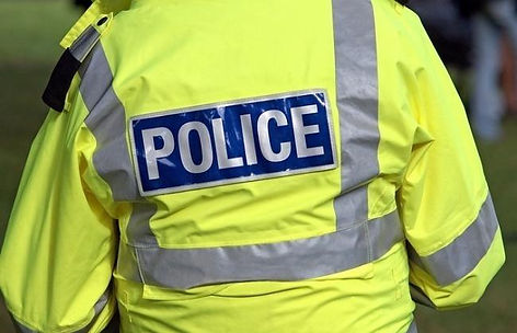 Woman charged after 35 puppies found in Eastbourne caravan