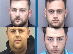 Poachers sentenced for shooting hares in Cashmoor area