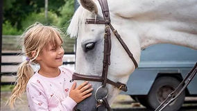 ‘Unthinkable’ crime as pregnant mare ‘beaten’ left to suffer and die with broken hind leg