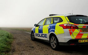 Theft of livestock - Gedgrave