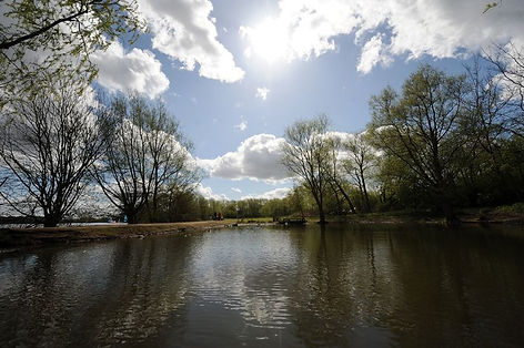 Anger as man punches and kicks swan in fit of rage at Kingsbury Water Park