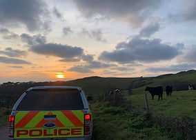 Police decide not to chase motocross bike due to 'significant danger'