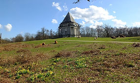 Witnesses Being Sought After A Deer Was Shot & Killed In Cobham Area