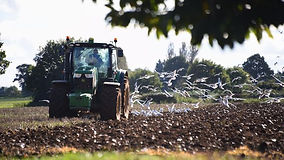Farmers warned of theft risk from fuel and fertiliser stores