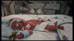 Angel Leo - Kim jones son  .jpg