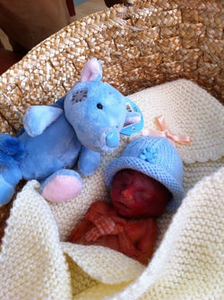 Zachary Thornley Allman 17.11.2012.jpg