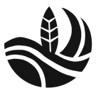 Logo Dirty Hippies Surfboards 