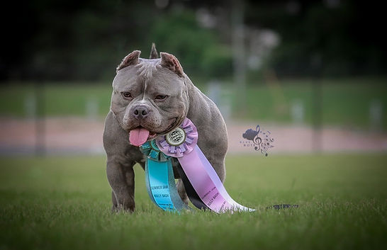 4EC67338-1E35-41C1-BA74-5915CE3260E1 (6).jpeg