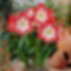 Unknown-1 copy.jpeg