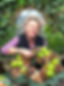 Unknown-1.jpeg