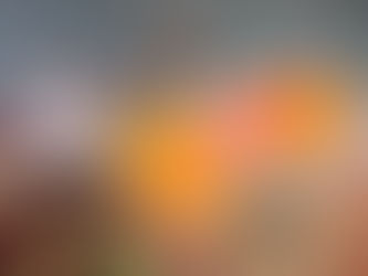 Art of Love: sementes do conhecimento florescem no jardim das futuras gerações