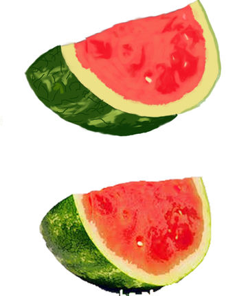 Watermelon - Digital Painting