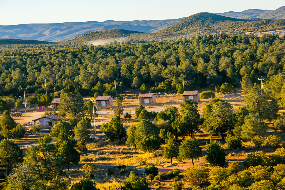 Panorama primera etapa cabañas