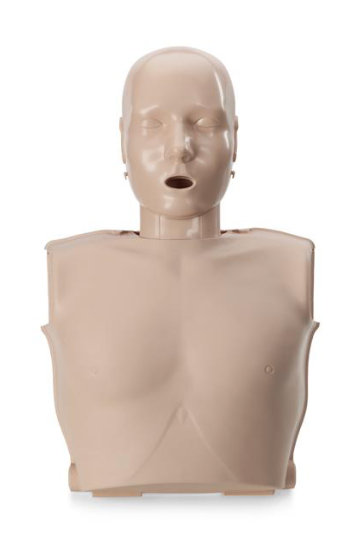 Adult Prestan Ultralite CPR manikin for portable training use, part of AHASTI’s CPR rental equipment.