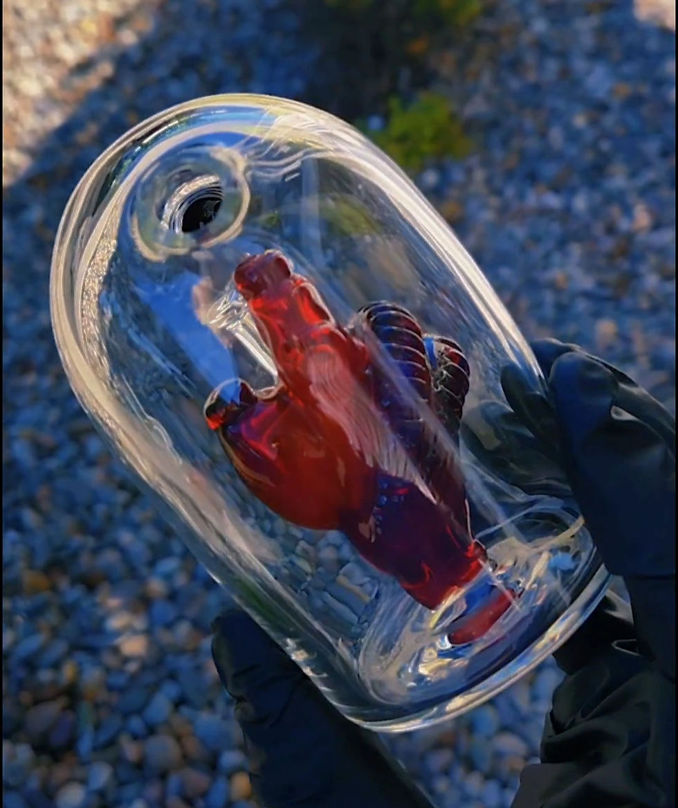 Thumbnail: Encapsulated Heart