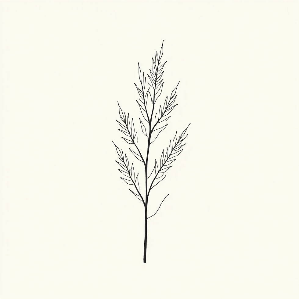 Botanical Line Art