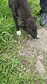 231 IMG-20210625-WA0014.jpg