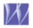The Williams Agency