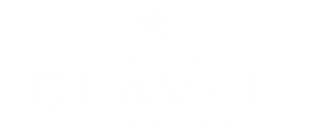 logo blanc.webp