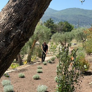 création jardin