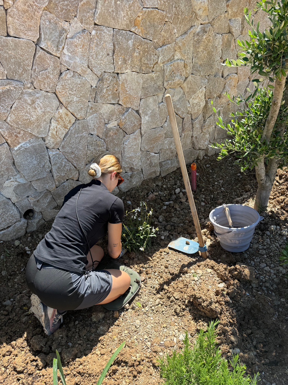 Chantier plascassier 3