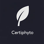 ChatGPT Image 13 févr_edited.jpg