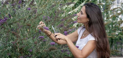 MAYA directed by Federica Salvatori