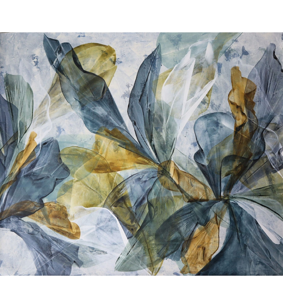 Iris II