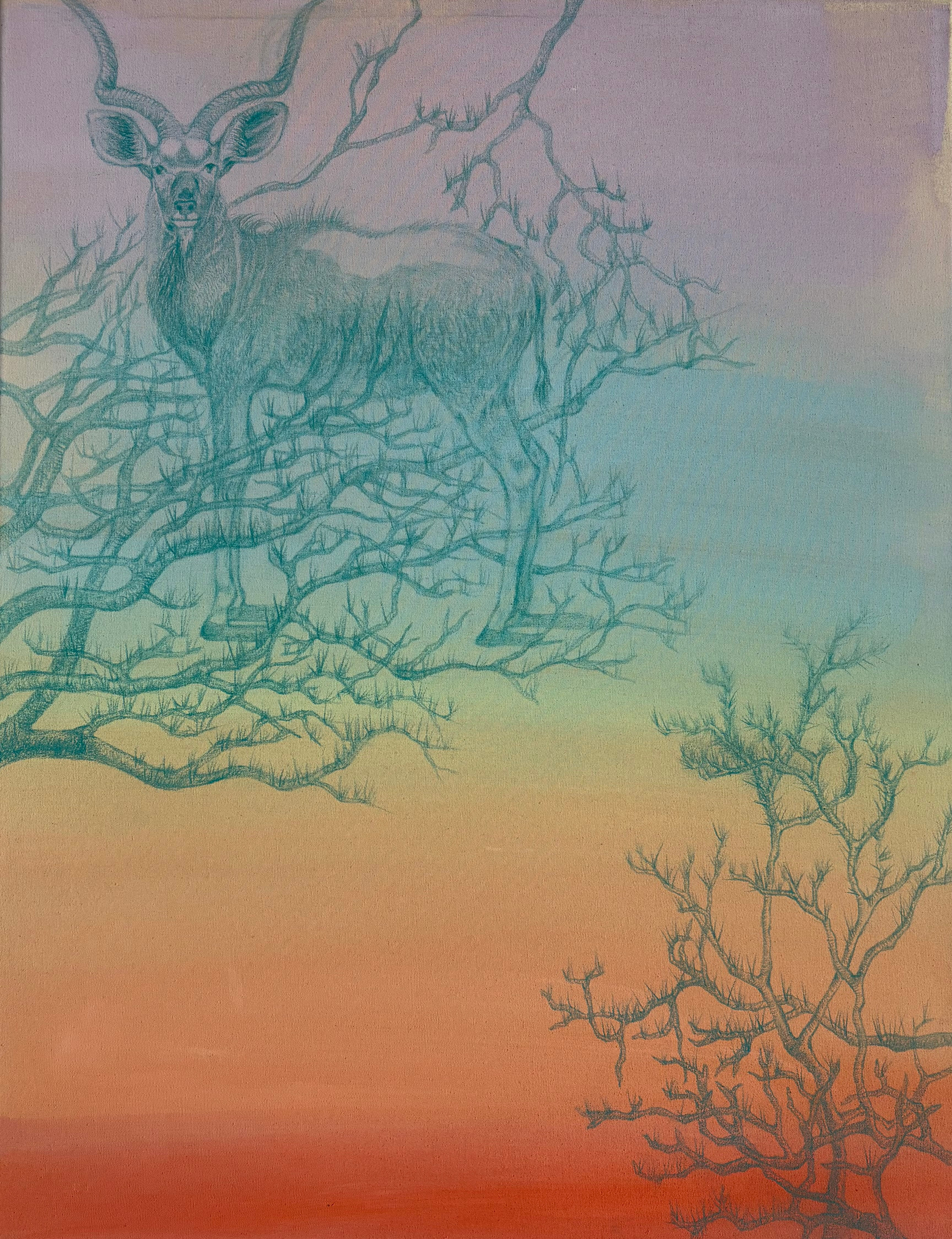 Grosser Kudu