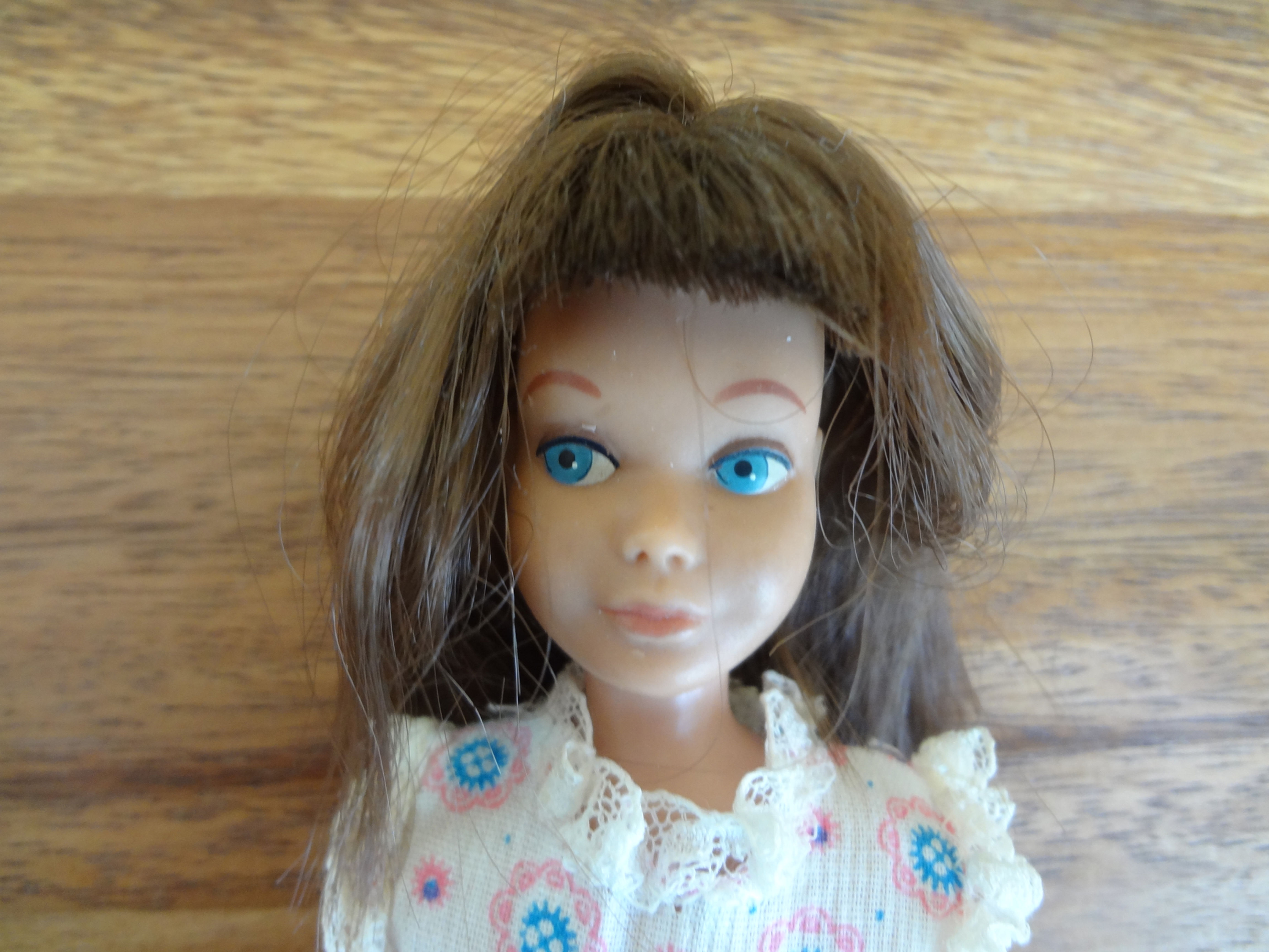 Skipper ~ Brunette Skipper with cut hair