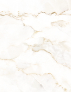 Untitled design (2).png