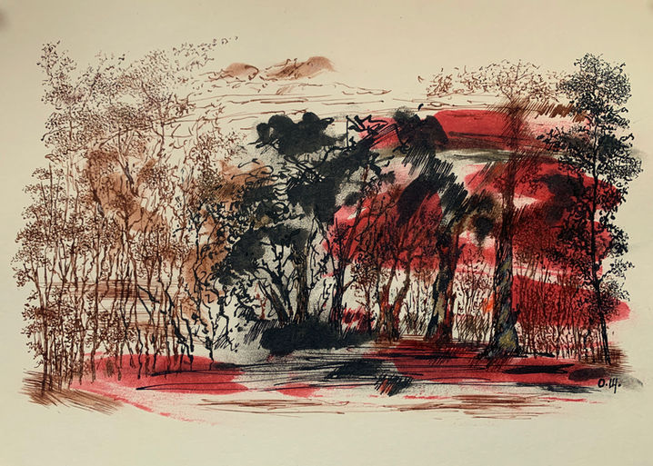 landscape_41.jpg