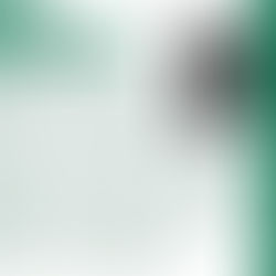 Sarah's Newsletter February 2009