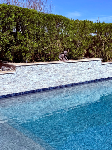 Planter Wall and Pool Backsplash