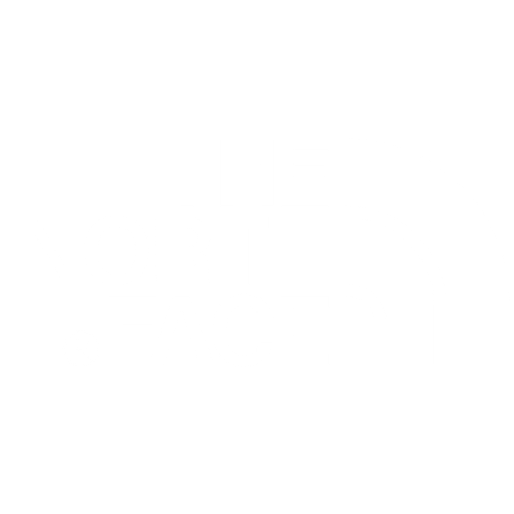 the north face white.png
