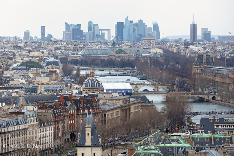 Roofs of Paris IV