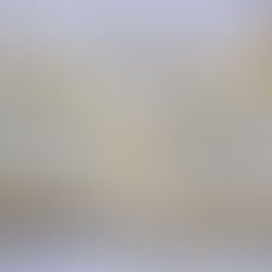 An open book with daisies lying on it.