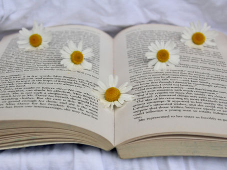 An open book with daisies lying on it.