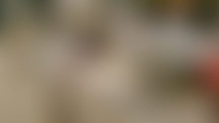 A table of books at a book fair