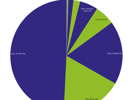 Dutch animal research statistics: 18% more procedures than in 2013